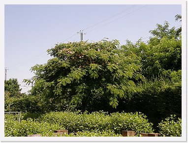 A 011B * 2048 x 1536 * (1.44MB)
